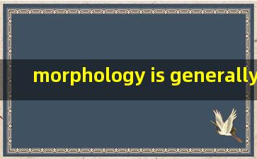 morphology is generally divided